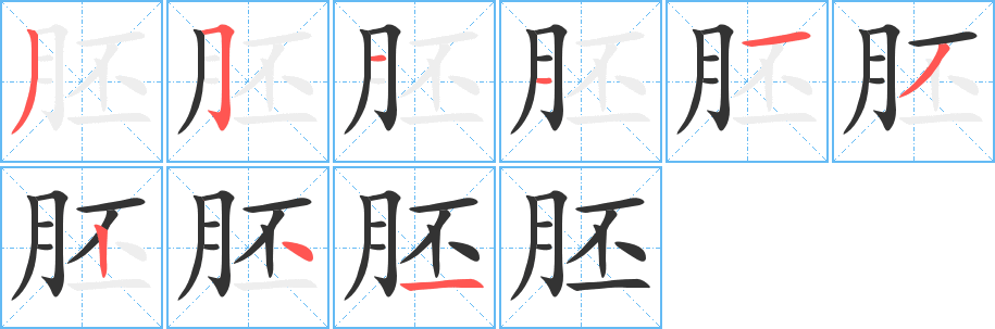 胚字的笔顺笔画分步演示