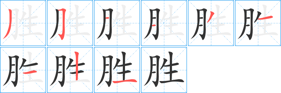 胜字的笔顺笔画分步演示