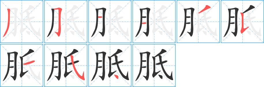 胝字的笔顺笔画分步演示