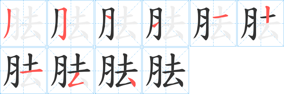 胠字的笔顺笔画分步演示