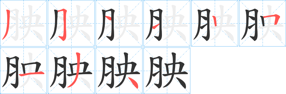 胦字的笔顺笔画分步演示
