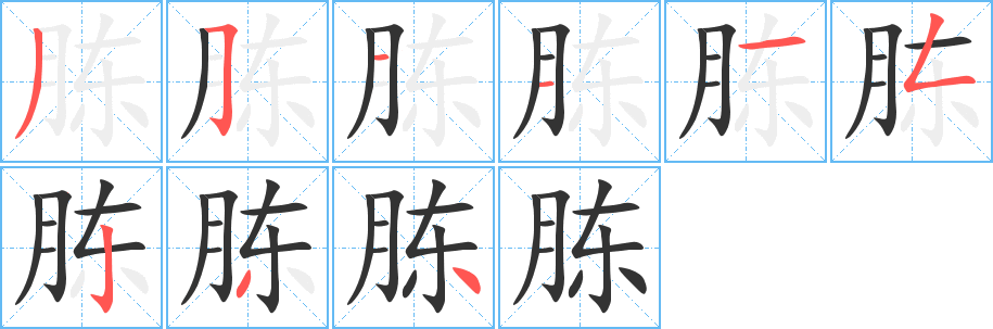 胨字的笔顺笔画分步演示