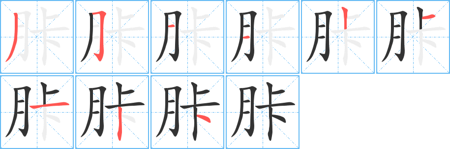 胩字的笔顺笔画分步演示