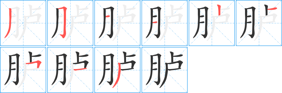 胪字的笔顺笔画分步演示