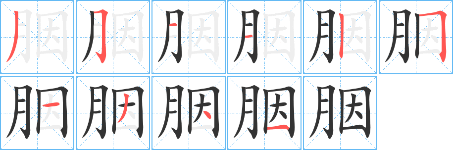 胭字的笔顺笔画分步演示