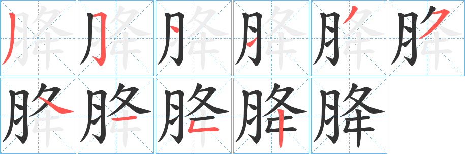 胮字的笔顺笔画分步演示