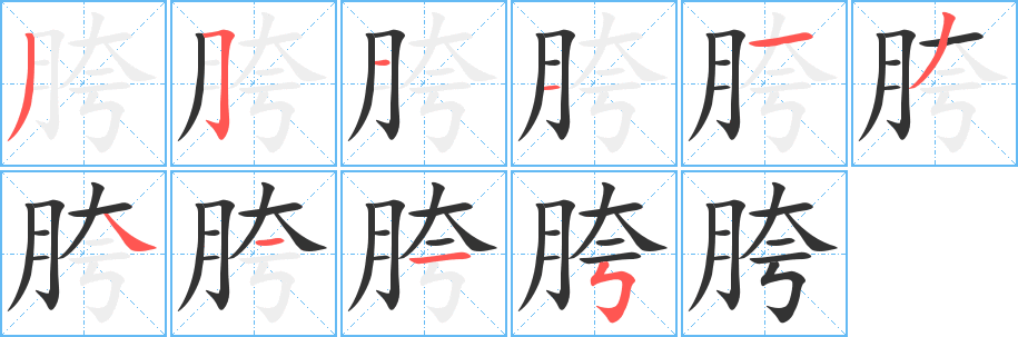 胯字的笔顺笔画分步演示