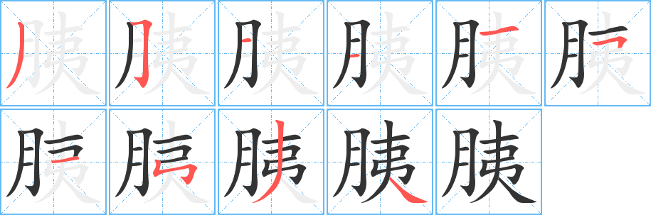 胰字的笔顺笔画分步演示
