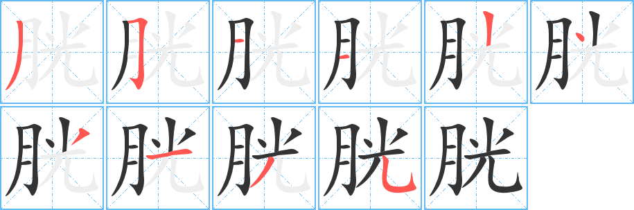胱字的笔顺笔画分步演示