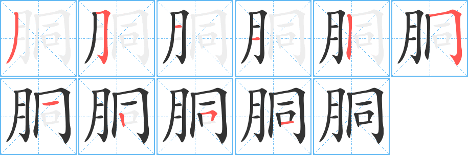 胴字的笔顺笔画分步演示