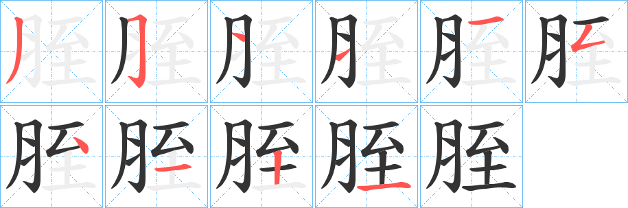 胵字的笔顺笔画分步演示