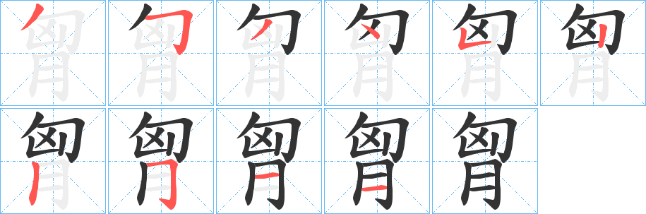 胷字的笔顺笔画分步演示