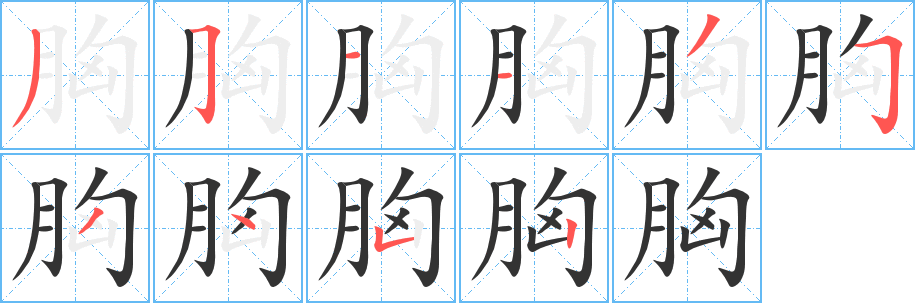 胸字的笔顺笔画分步演示