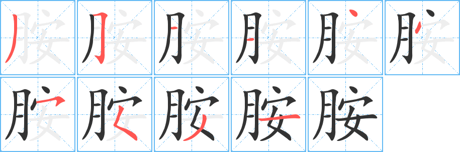 胺字的笔顺笔画分步演示