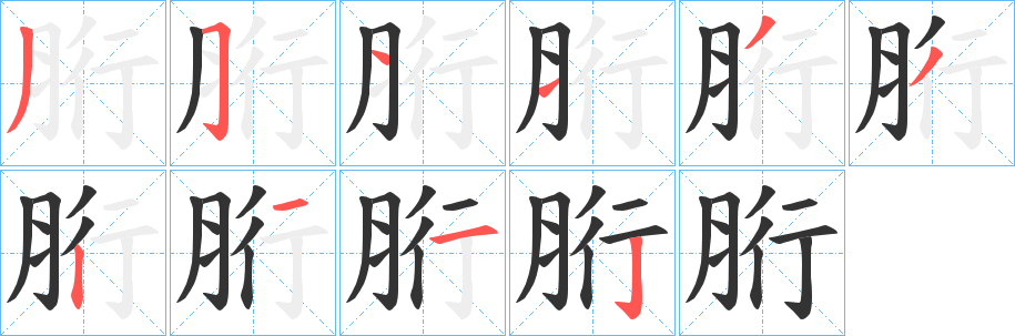 胻字的笔顺笔画分步演示