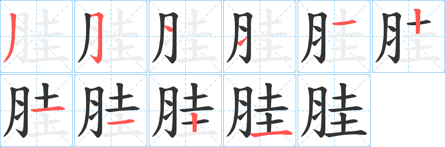胿字的笔顺笔画分步演示