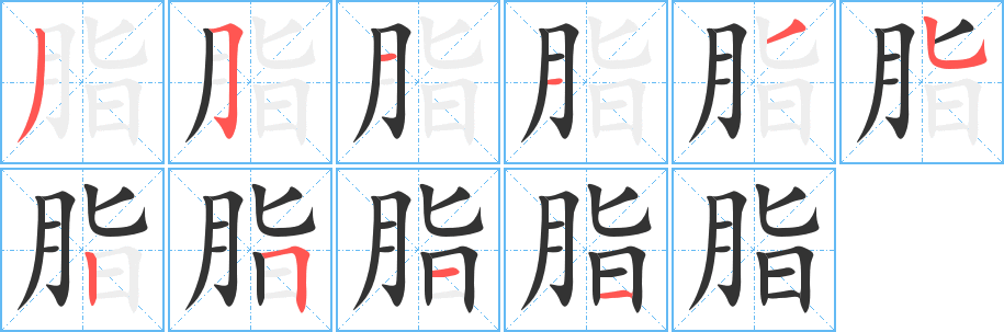 脂字的笔顺笔画分步演示