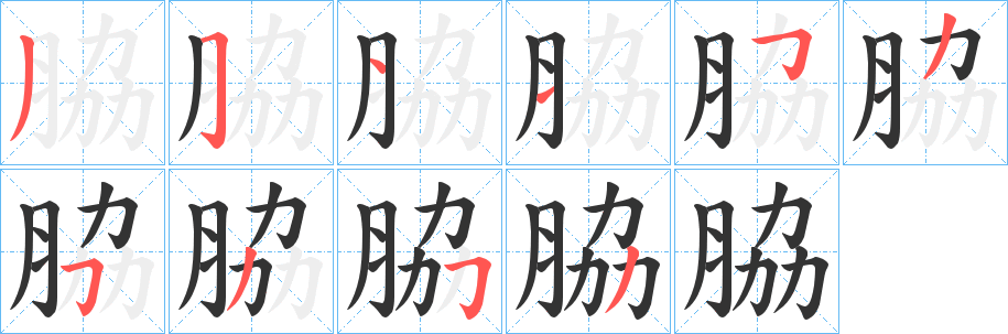 脇字的笔顺笔画分步演示