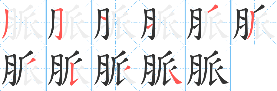 脈字的笔顺笔画分步演示