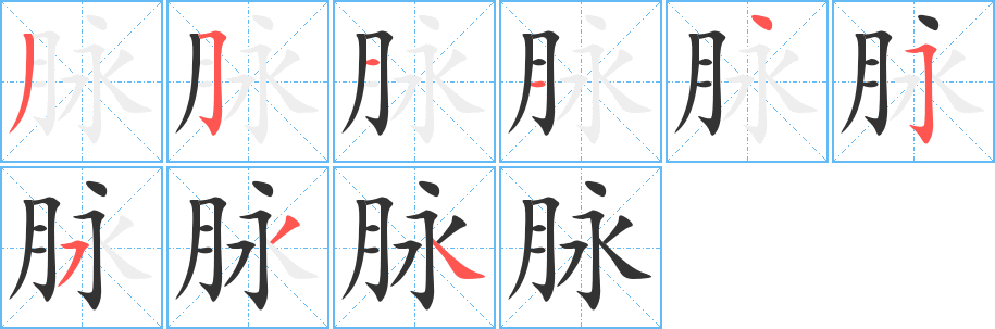 脉字的笔顺笔画分步演示