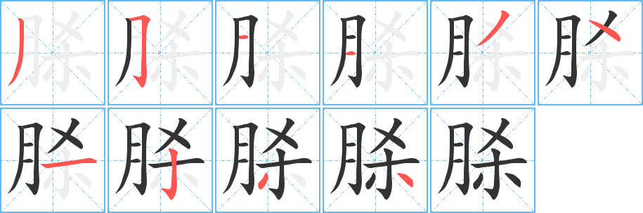 脎字的笔顺笔画分步演示
