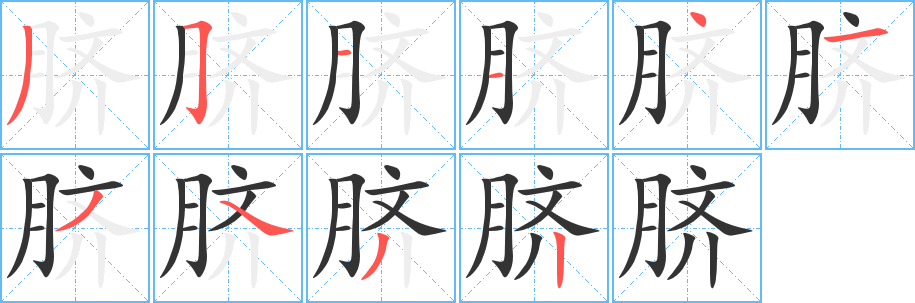 脐字的笔顺笔画分步演示