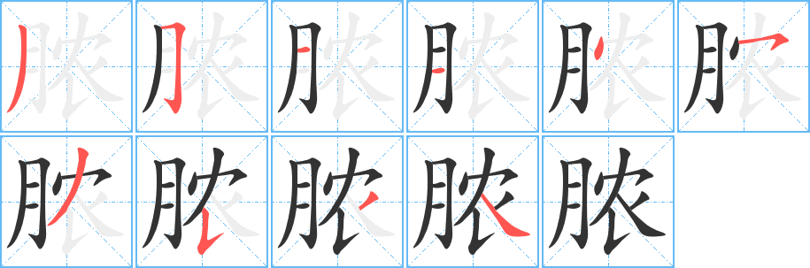脓字的笔顺笔画分步演示