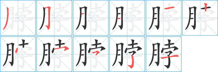 脖字的笔顺笔画分步演示
