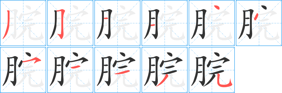 脘字的笔顺笔画分步演示