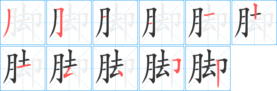 脚字的笔顺笔画分步演示