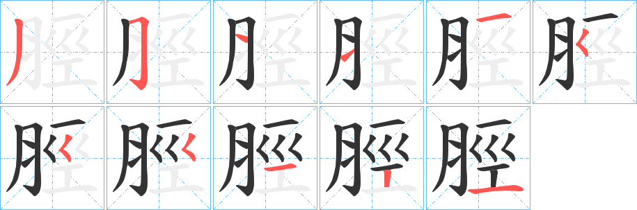 脛字的笔顺笔画分步演示