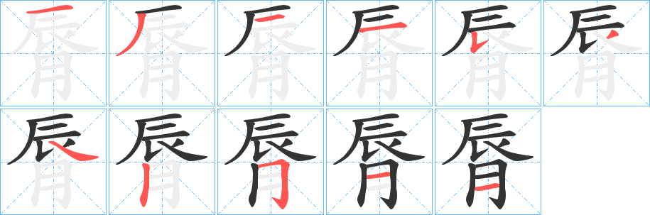 脣字的笔顺笔画分步演示