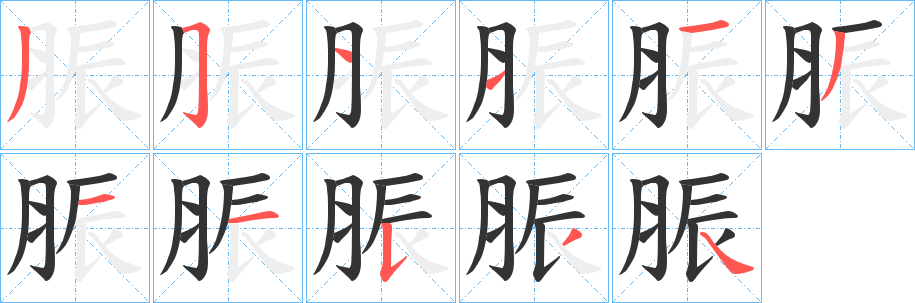 脤字的笔顺笔画分步演示