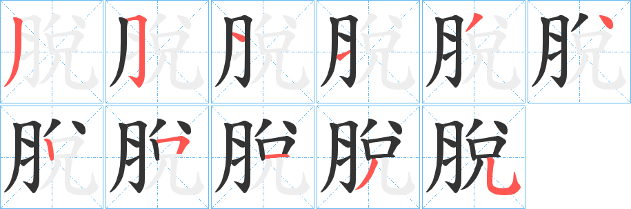 脫字的笔顺笔画分步演示