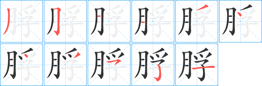 脬字的笔顺笔画分步演示