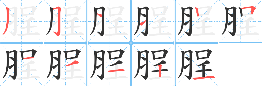 脭字的笔顺笔画分步演示