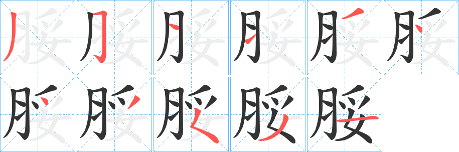 脮字的笔顺笔画分步演示