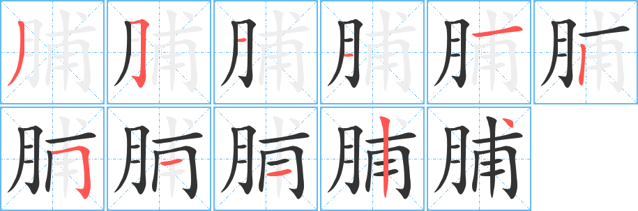 脯字的笔顺笔画分步演示