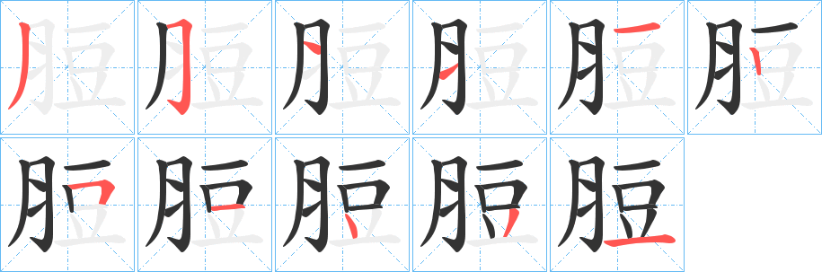 脰字的笔顺笔画分步演示