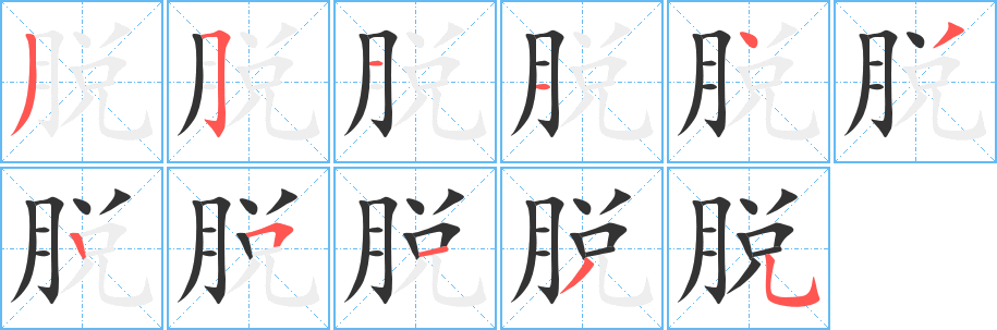 脱字的笔顺笔画分步演示
