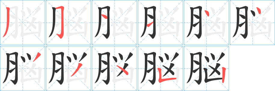 脳字的笔顺笔画分步演示
