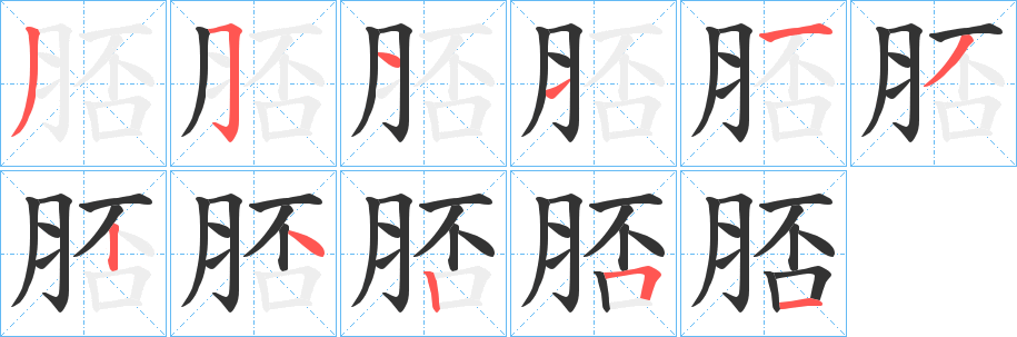 脴字的笔顺笔画分步演示