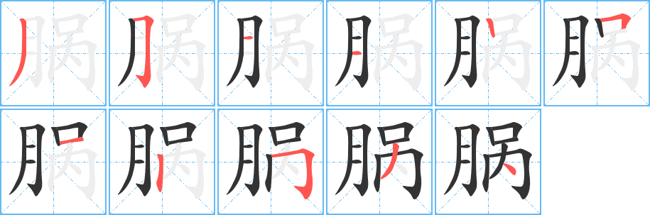 脶字的笔顺笔画分步演示