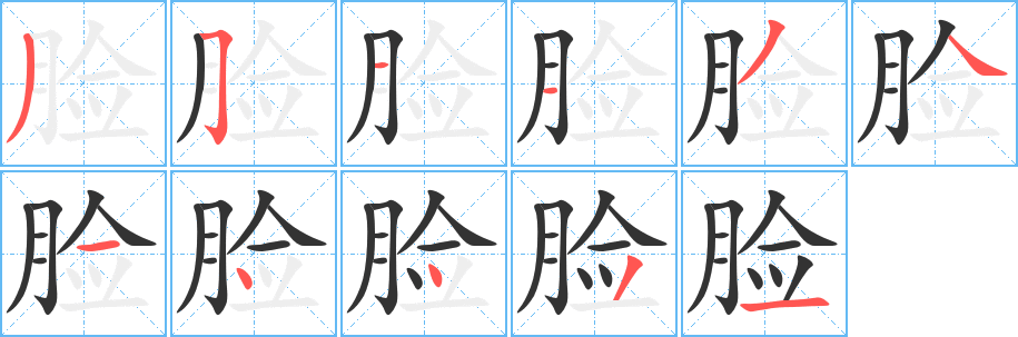 脸字的笔顺笔画分步演示