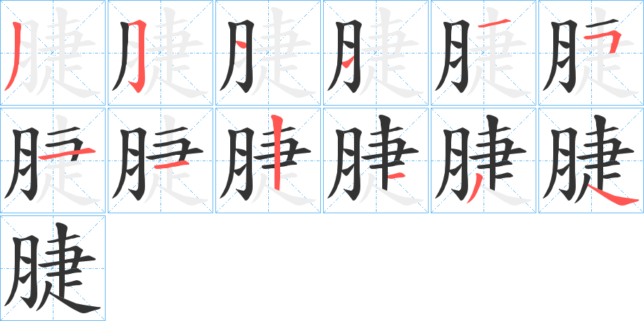 脻字的笔顺笔画分步演示