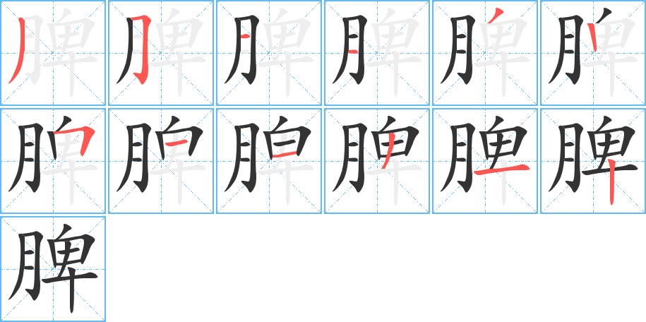 脾字的笔顺笔画分步演示