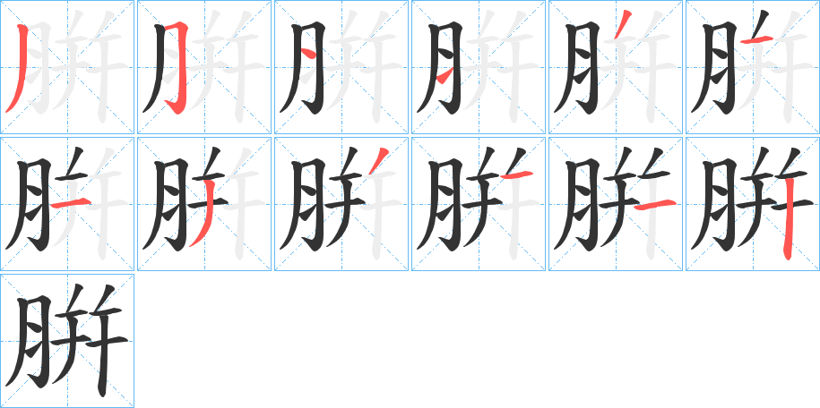 腁字的笔顺笔画分步演示