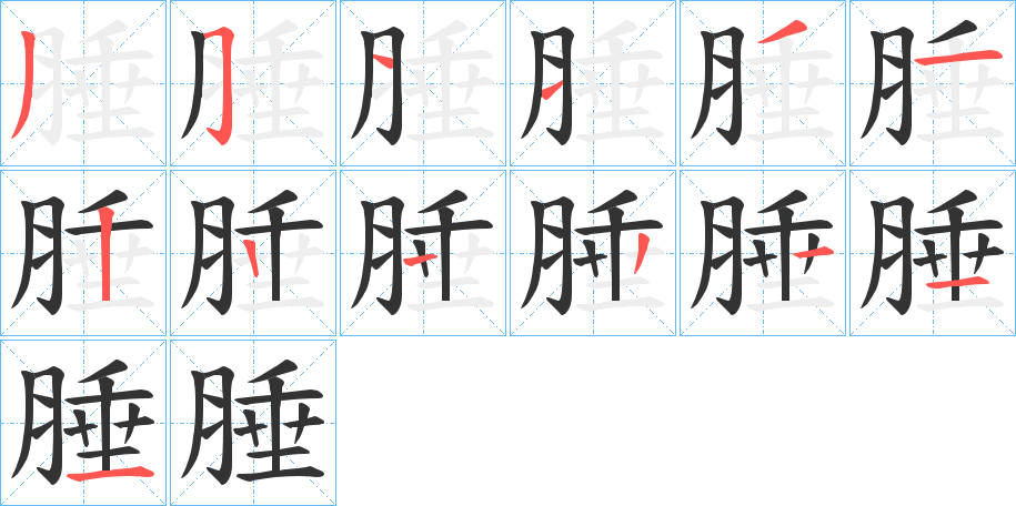 腄字的笔顺笔画分步演示