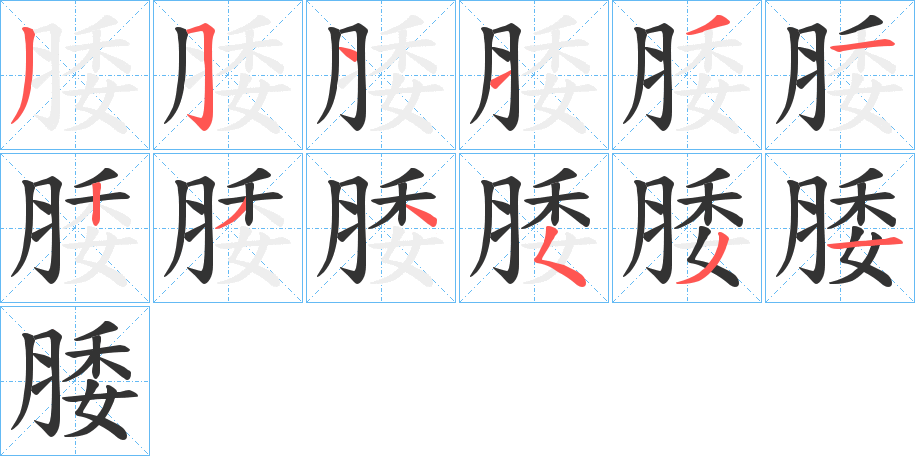 腇字的笔顺笔画分步演示