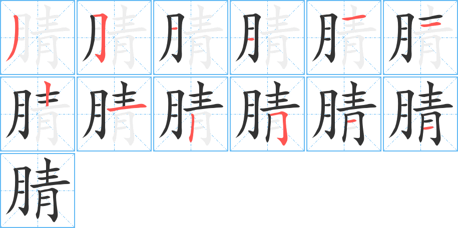 腈字的笔顺笔画分步演示